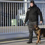 Pourquoi le gardiennage est essentiel pour la sécurité de vos locaux ?