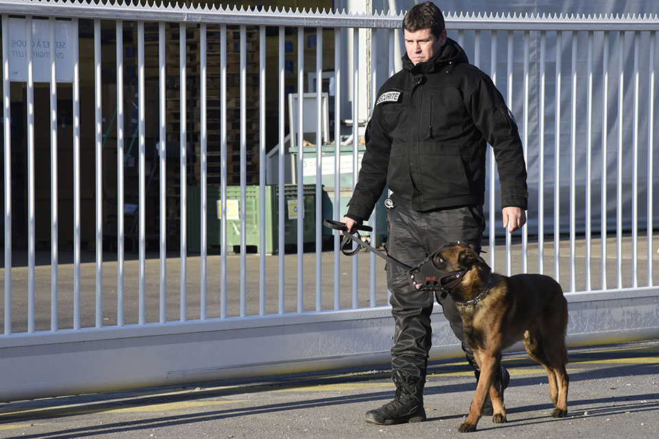 Pourquoi le gardiennage est essentiel pour la sécurité de vos locaux ?
